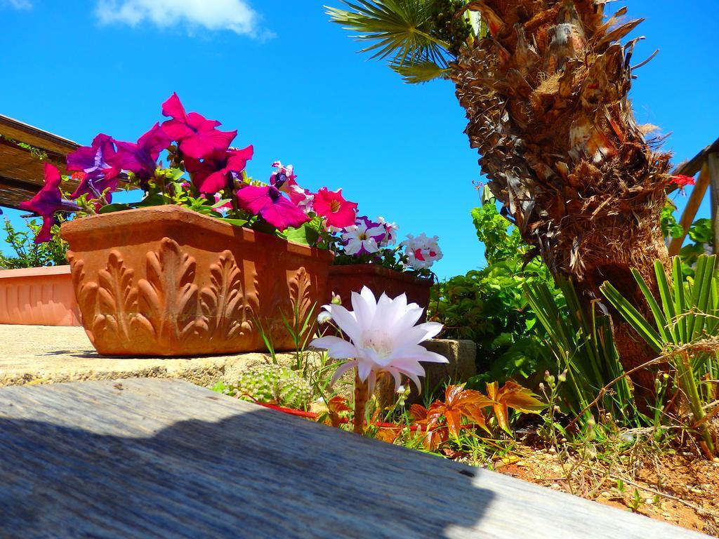 Baglio Cofano Rooms & Relax Custonaci Dış mekan fotoğraf